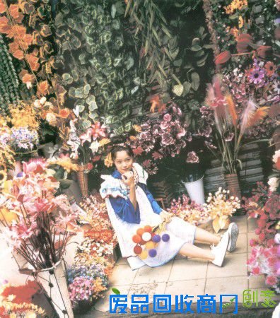 日本女星宫崎葵 云南拍摄唯美写真(图)