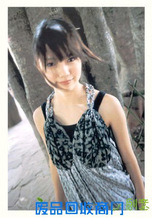 日本女星宫崎葵 云南拍摄唯美写真(图)