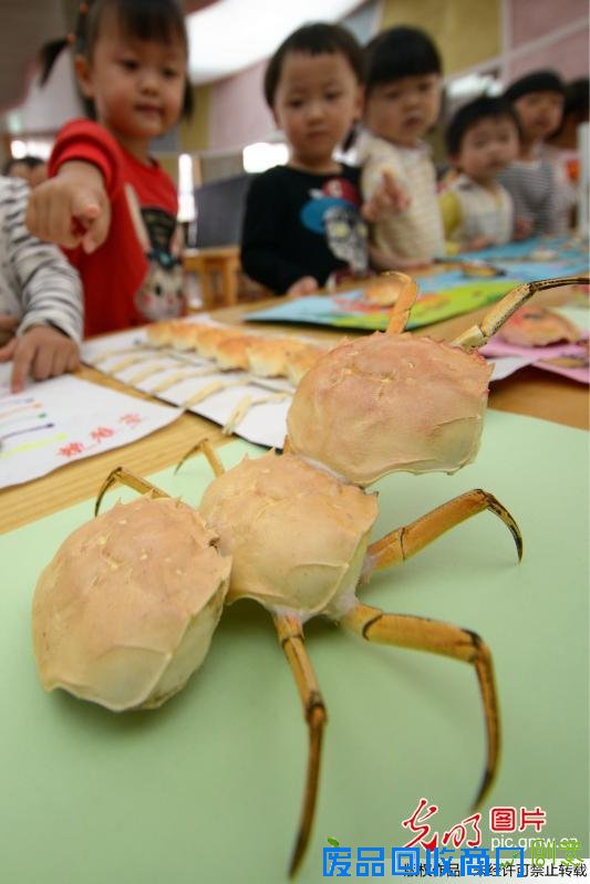 苏州幼儿园亲子创意DIY “大闸蟹”变身“艺术品”
