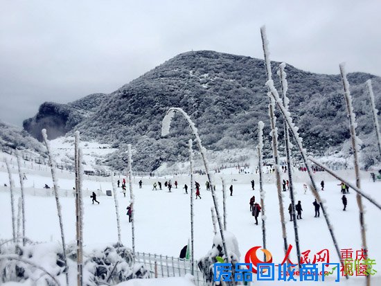 金佛山冰雪节开幕今年积雪最厚雪期最长（图）