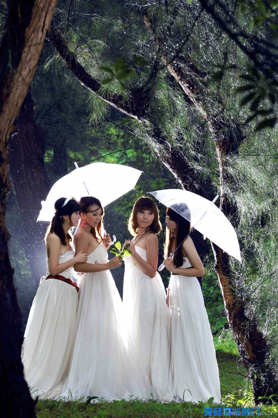 姐妹片-相伴的雨季