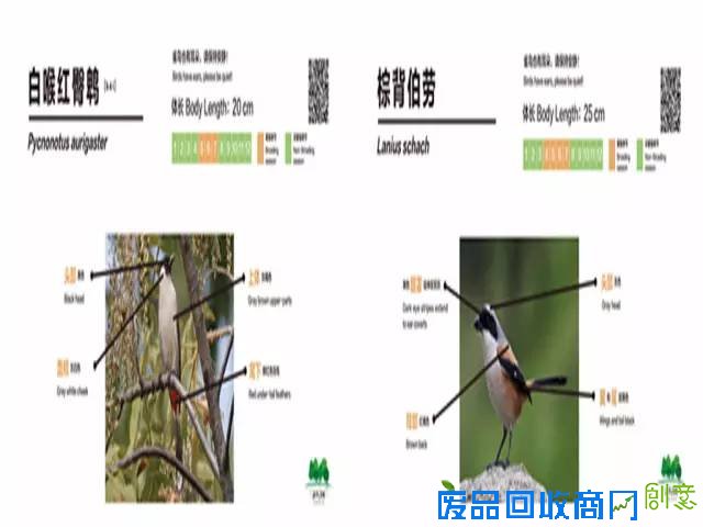 带上相机去海珠湖与鸟儿来场“冬季约会”吧！