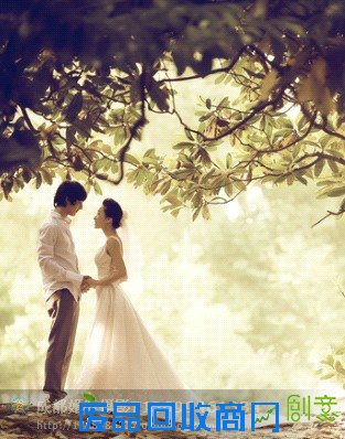 2013年10种最流行的婚纱风格 T_13699461334_4.jpg