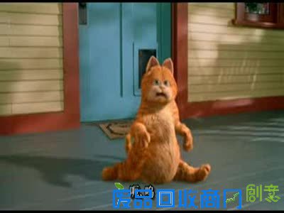 搞笑猫 - 猫搞笑图片 - 最可爱的猫猫搞笑图 - 图吧