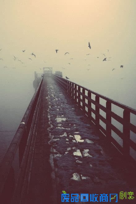 唯美意境风景伤感lomo飞鸟素材图片