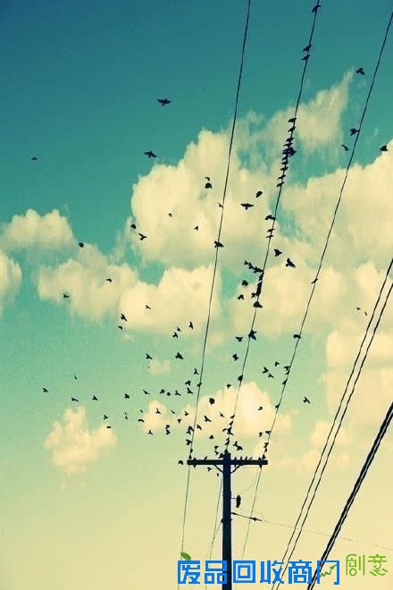 唯美意境风景伤感lomo飞鸟素材图片