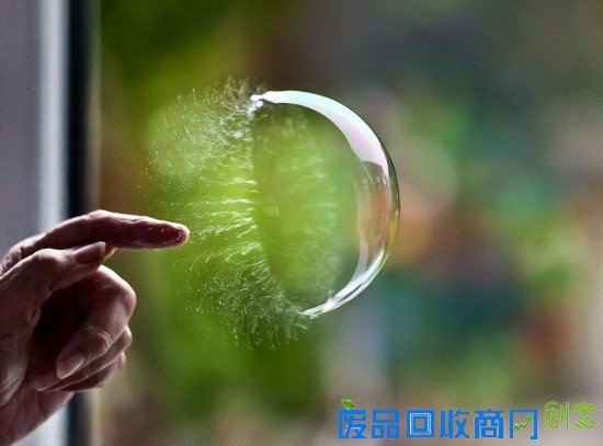 英国科学摄影作品尽显科学之美(组图)