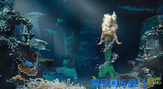 美摄影师用镜头助癌症患儿实现童话梦