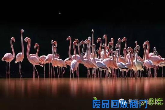 江一燕：环球旅行后 她又用摄影征服了全世界！