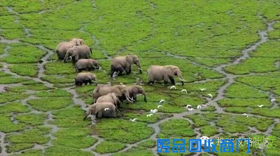 江一燕：环球旅行后 她又用摄影征服了全世界！