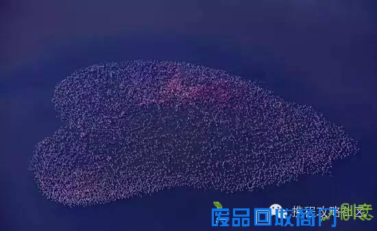 江一燕：环球旅行后 她又用摄影征服了全世界！