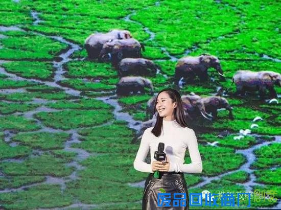 江一燕：环球旅行后 她又用摄影征服了全世界！