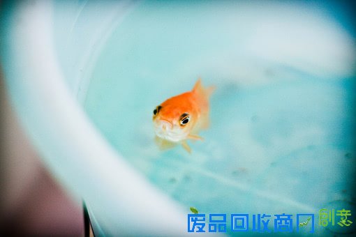 唯美意境图片小清新伤感个性美图