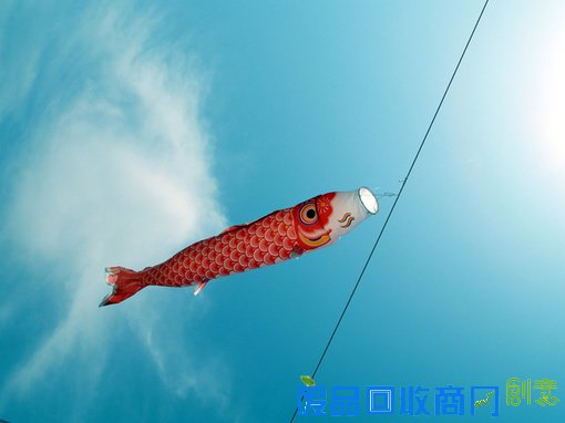 唯美意境图片小清新伤感个性美图