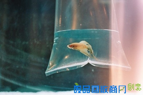 唯美意境图片小清新伤感个性美图