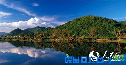 参展摄影作品《钱江源》