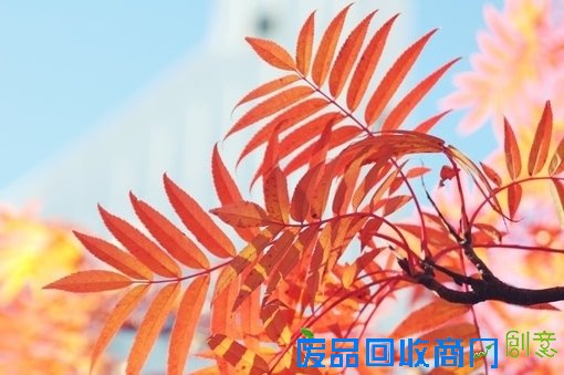 唯美意境素材伤感森系小清新意境图片