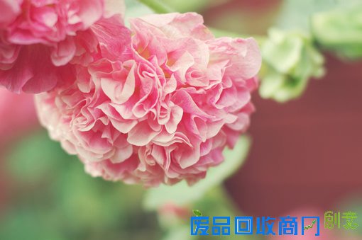 唯美意境素材伤感森系小清新意境图片