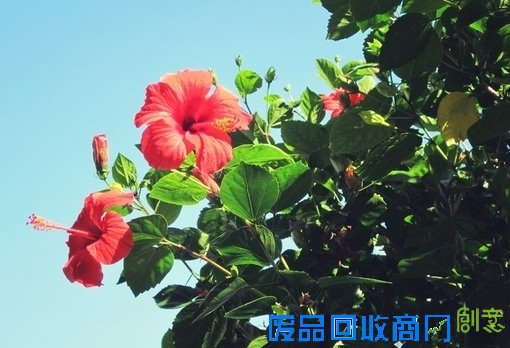 唯美意境素材伤感森系小清新意境图片