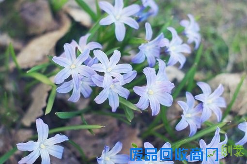 唯美意境素材伤感森系小清新意境图片