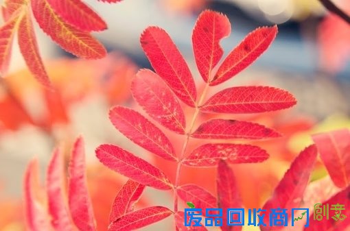 唯美意境素材伤感森系小清新意境图片