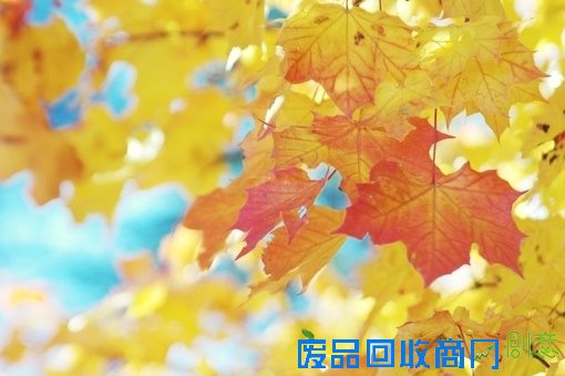 唯美意境素材伤感森系小清新意境图片