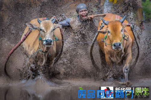 惊掉下巴的比赛