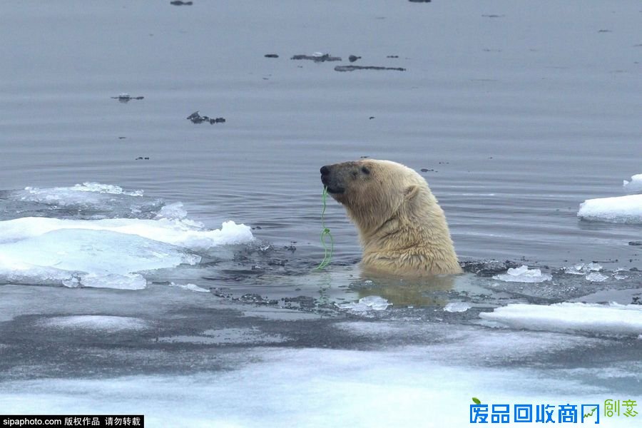 野外摄影师唯美镜头迎接世界海洋日