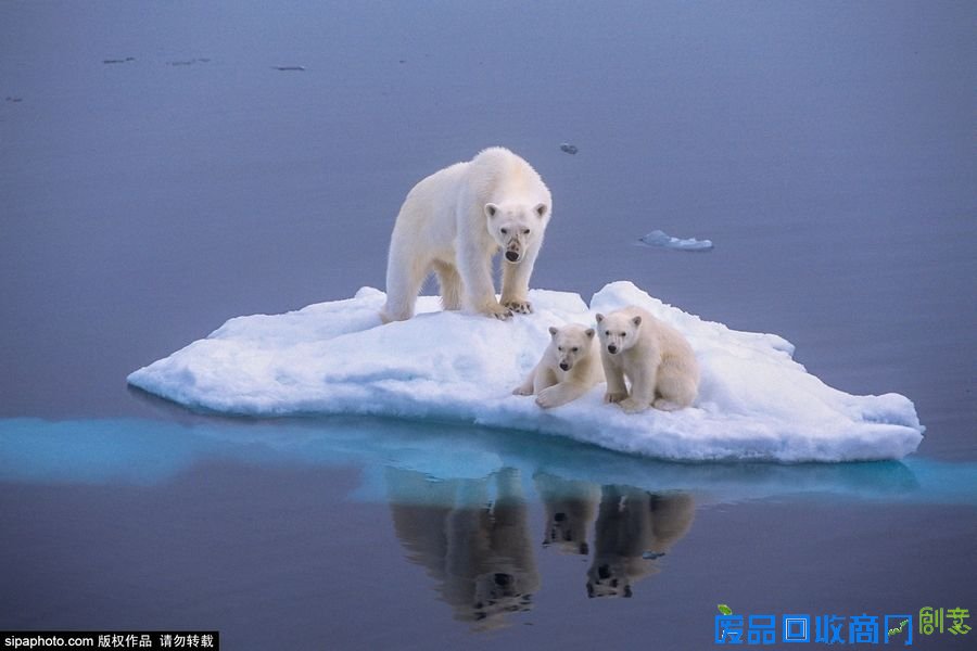 野外摄影师唯美镜头迎接世界海洋日
