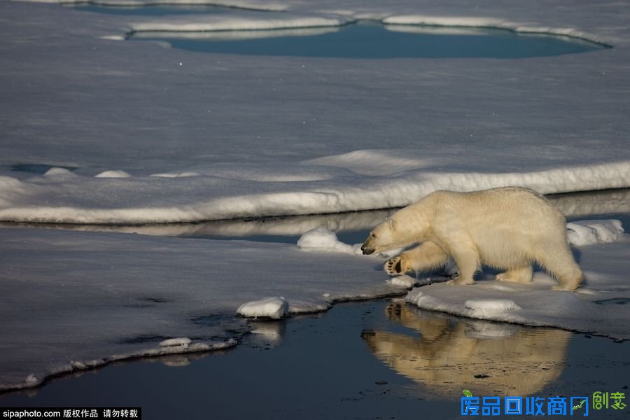 野外摄影师唯美镜头迎接世界海洋日