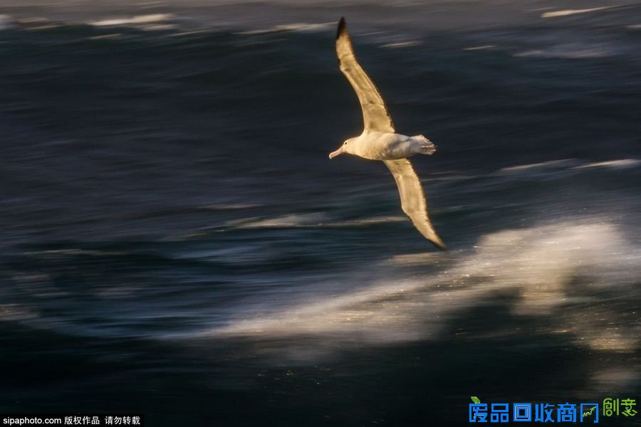 野外摄影师唯美镜头迎接世界海洋日