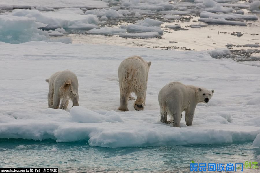 野外摄影师唯美镜头迎接世界海洋日