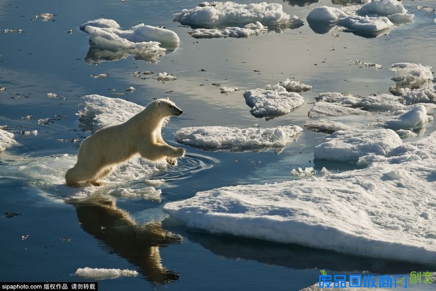 野外摄影师唯美镜头迎接世界海洋日