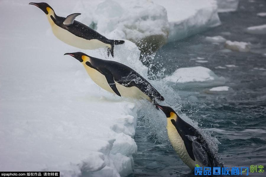 野外摄影师唯美镜头迎接世界海洋日