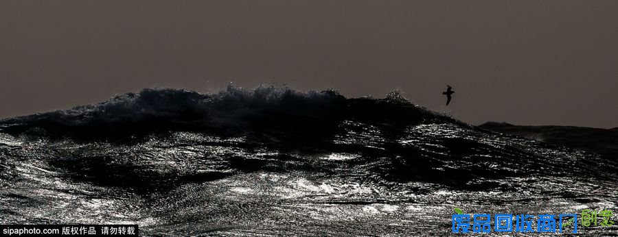 野外摄影师唯美镜头迎接世界海洋日