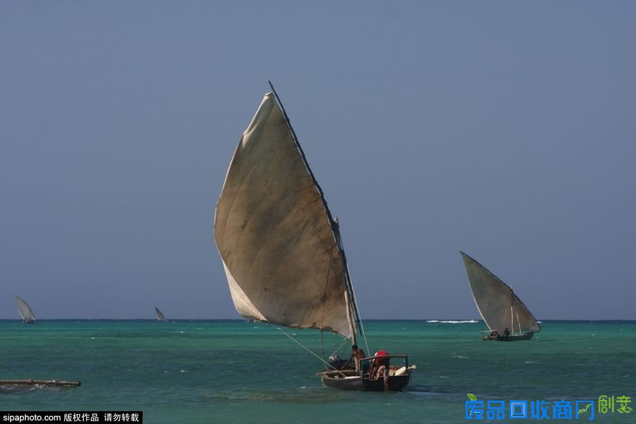 野外摄影师唯美镜头迎接世界海洋日