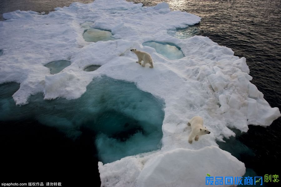 野外摄影师唯美镜头迎接世界海洋日