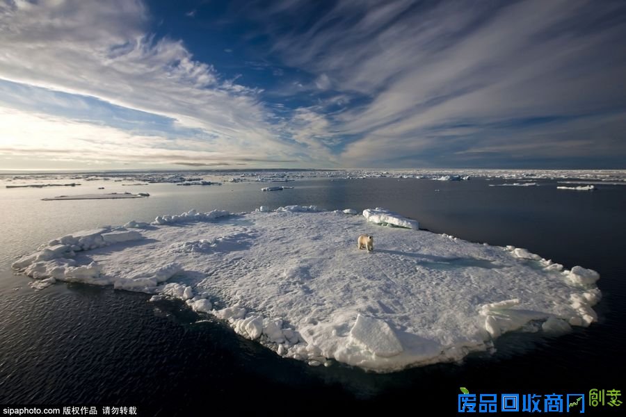 野外摄影师唯美镜头迎接世界海洋日