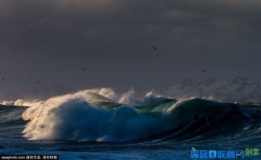 野外摄影师唯美镜头迎接世界海洋日