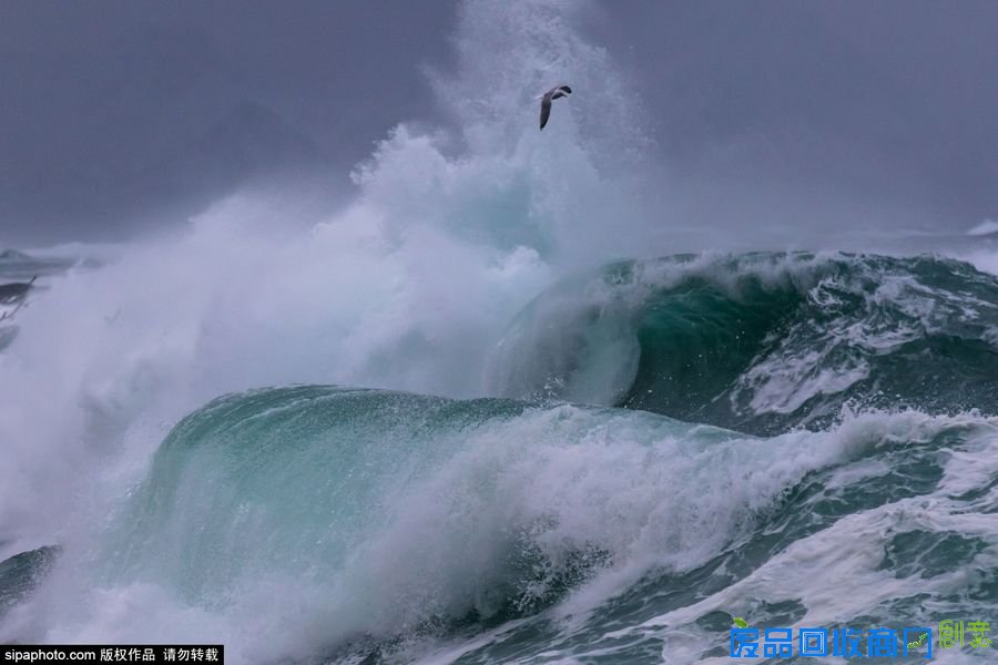 野外摄影师唯美镜头迎接世界海洋日