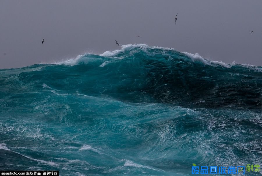 野外摄影师唯美镜头迎接世界海洋日