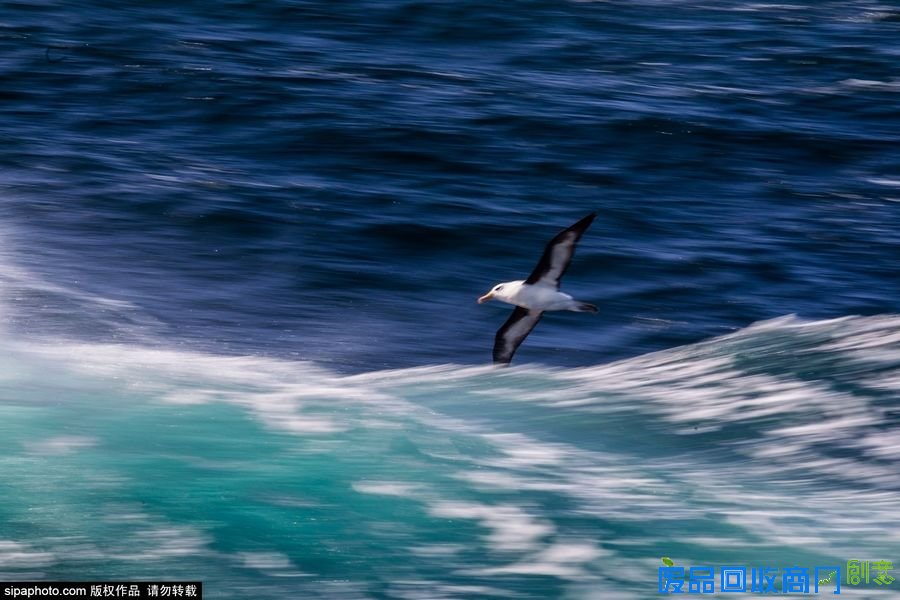 野外摄影师唯美镜头迎接世界海洋日