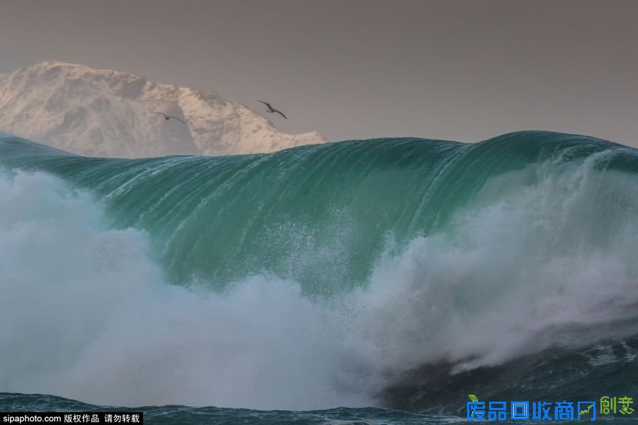 野外摄影师唯美镜头迎接世界海洋日