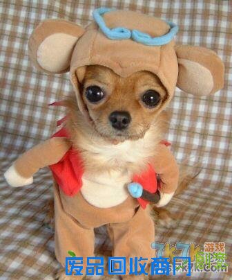 超级无敌小可爱 女生快来看看 