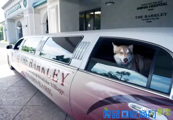 无创意不创业:盘点国外最有创意的十大创业项目