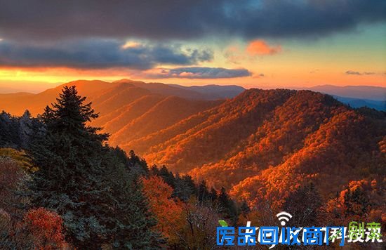 美国家地理公园发布2015年最佳照片:可爱猫头鹰卖萌