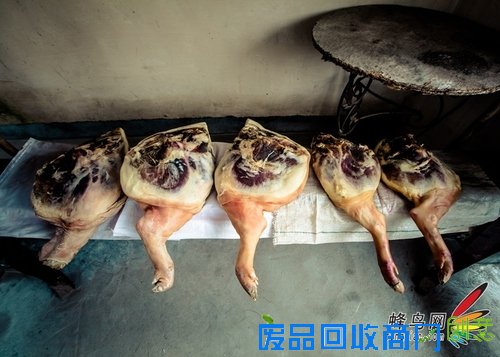 拍摄出和大师一样美丽的旅游照片 拍摄出和大师一样美丽的旅游照片