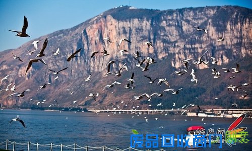 拍摄出和大师一样美丽的旅游照片 拍摄出和大师一样美丽的旅游照片