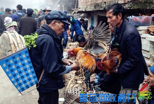 拍摄出和大师一样美丽的旅游照片 拍摄出和大师一样美丽的旅游照片