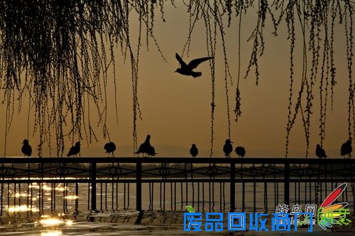 拍摄出和大师一样美丽的旅游照片 拍摄出和大师一样美丽的旅游照片